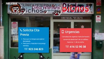 SPOT CLINICA VETERINARIA BICHOS