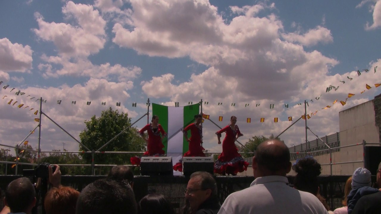 1 vicente amigo y camaron (rocio 2014)