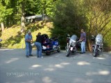 201106 Hogs in the Smokies