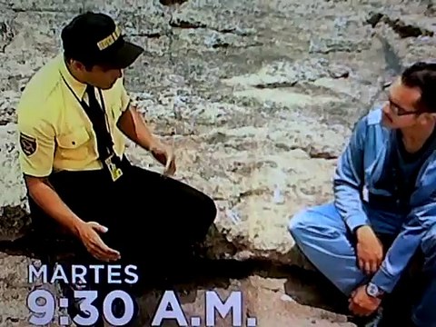 HOY en Mi Amor el Wachiman por América Televisión 9:30 A.M.