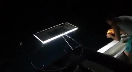 Pêche à la dynamite au Liban