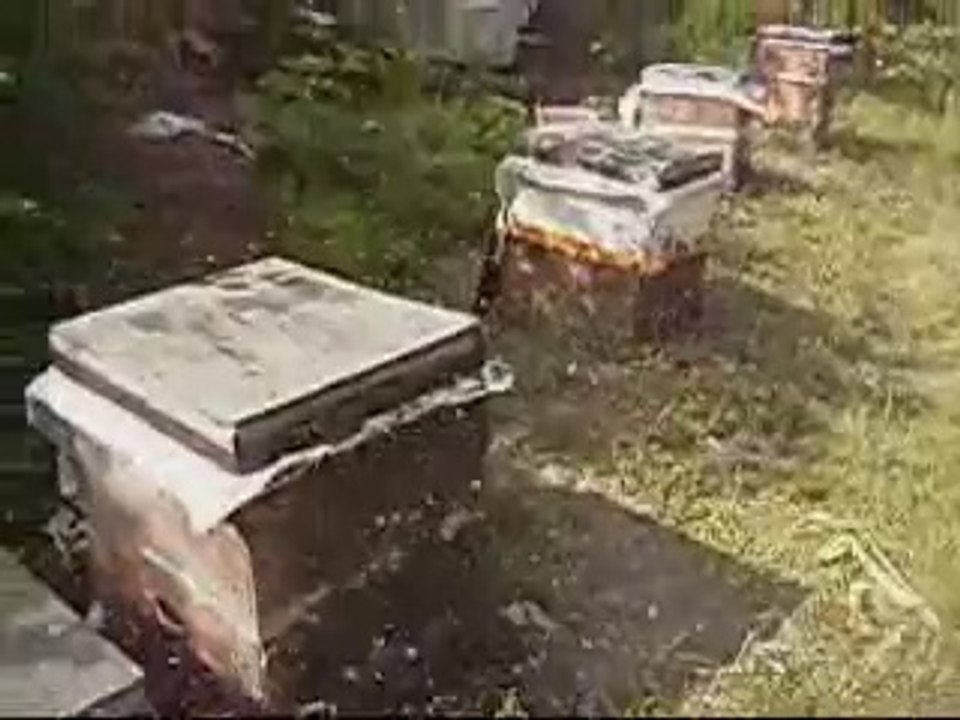 80 binlik nufuslu kovanların sonu