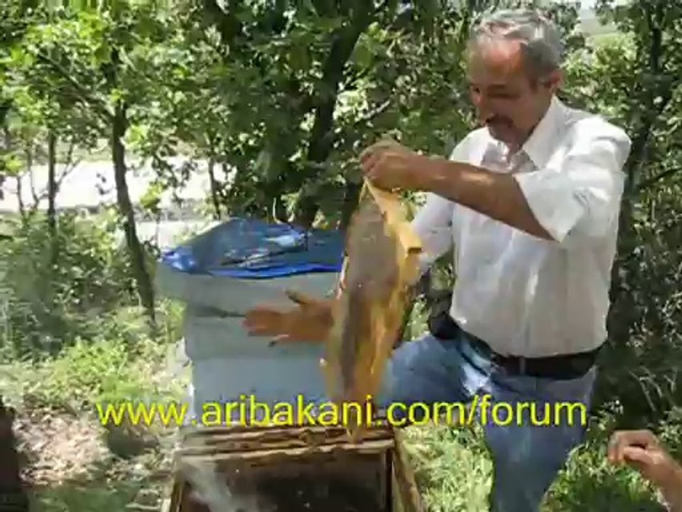 Bal tutan parmağını yalar