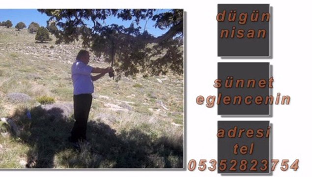 seker..almaya.geldim ..halit mısır