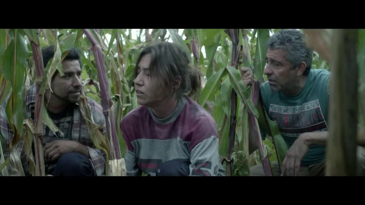 Los fenómenos - Trailer (HD)