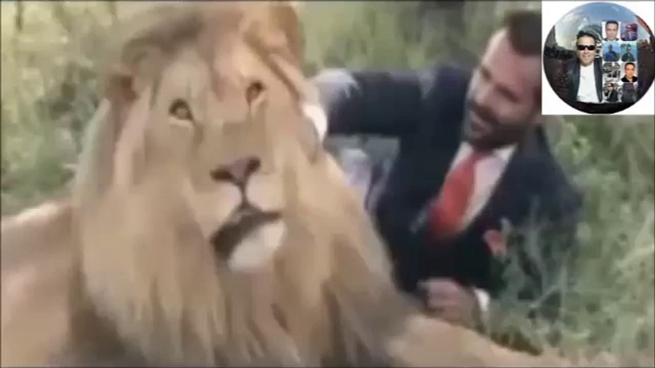 Adamda Mangal Gibi Yürek Var Aslanla Arkadas Oluyor Güresiyor Top Oynuyor Bravo Kutluyorum(Nurettin Özdemir)