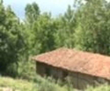 Akrabalarının gözünden Nuri Bilge Ceylan