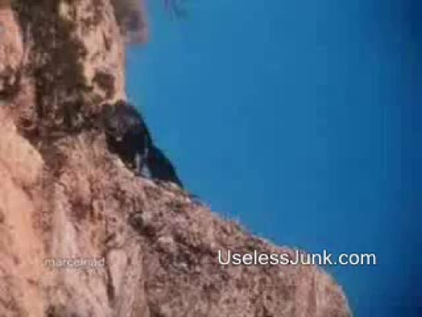 Eagle Vs Mountain Goat