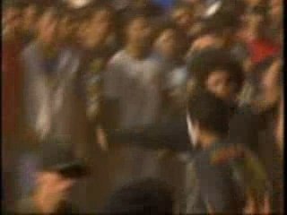 Hoba hoba spirit - interview (arte)