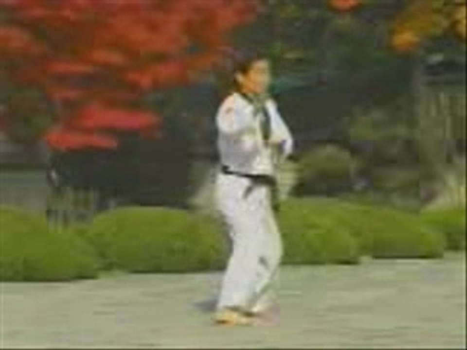 Taekwondo Poomse
