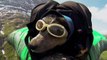 Worlds First Wingsuit BASE Jumping Dog !!