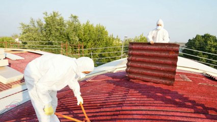 Why you need asbestos surveys