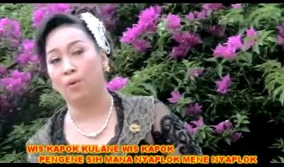 LANANG BUAYA karoke duniawati @ lagu tarling