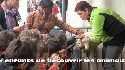 A la miniferme de la foire comtoise