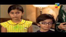 Shabe Zindagi Episode 18 Full Drama On HUM TV Drama 27 May 2014