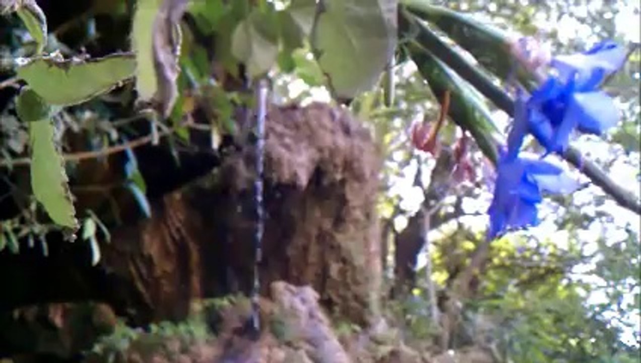 Exploring Fresh Water