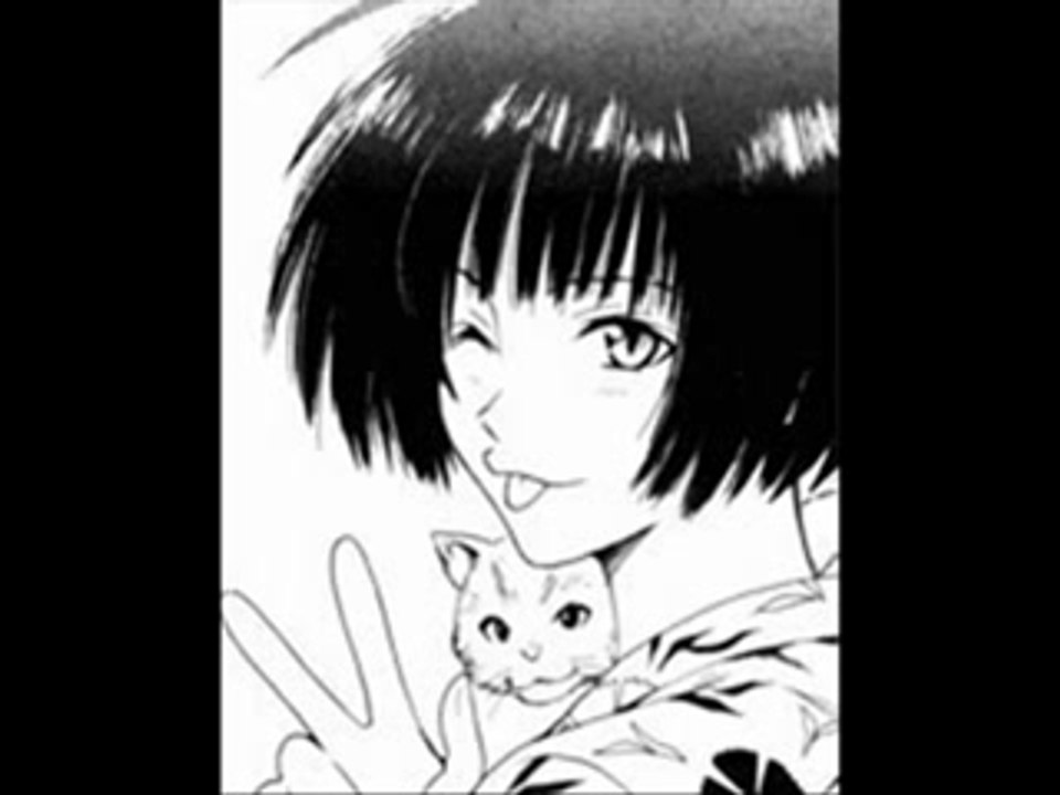 Black cat