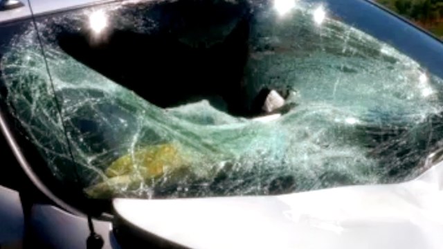 Flying Deer Totals Family Car from Out of Nowhere