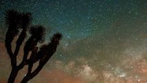 Camelopardalid Meteor Shower Strike over Joshua Tree Milky Way!