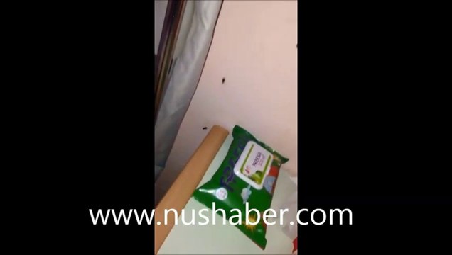 Mardin Devlet Hastanesini Hamam Böcekleri Bastı