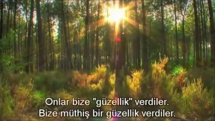 Cehennemde bir cennet bahçesi