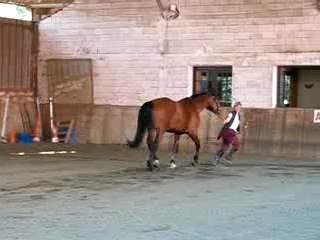 Qualif loisirs - Présentation en main