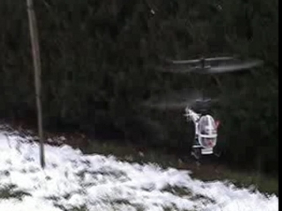 NANO LAMA A L'EXTERIEUR