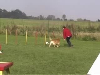 Avricourt Agility 2006