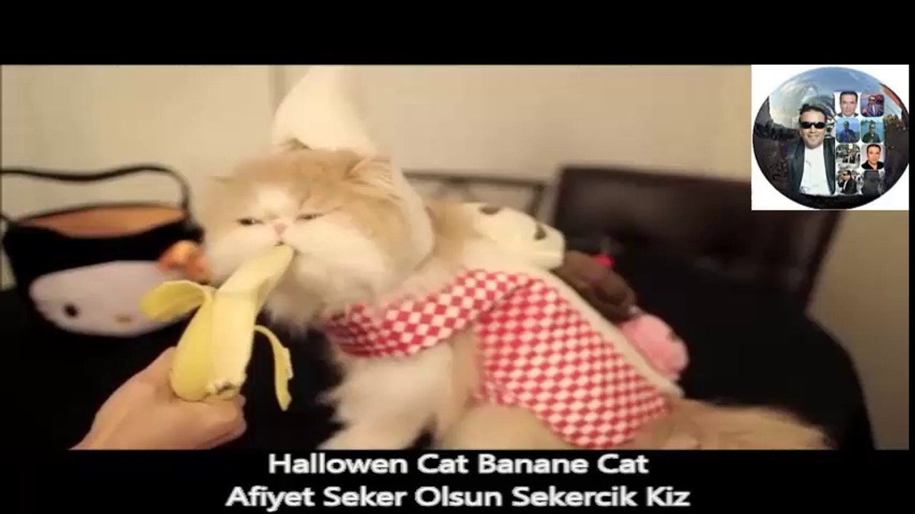 Halloween Cute Banana Cat(Nurettin Özdemir)