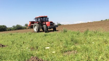 Landini 8860 Kurt Havalı Mibzer ile Ayçiçeği Ekiminde