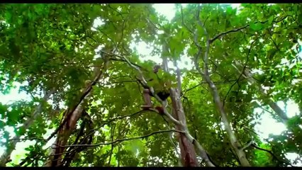 ناس عايشة وناس موش عارفة تعيش