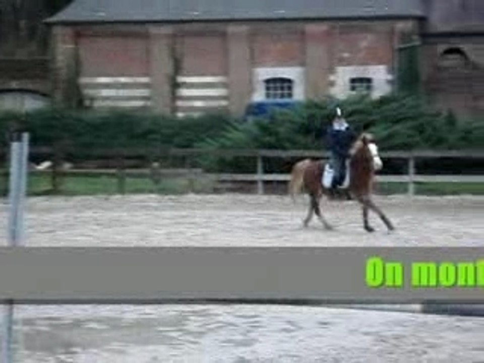 Teuteur le 28-01