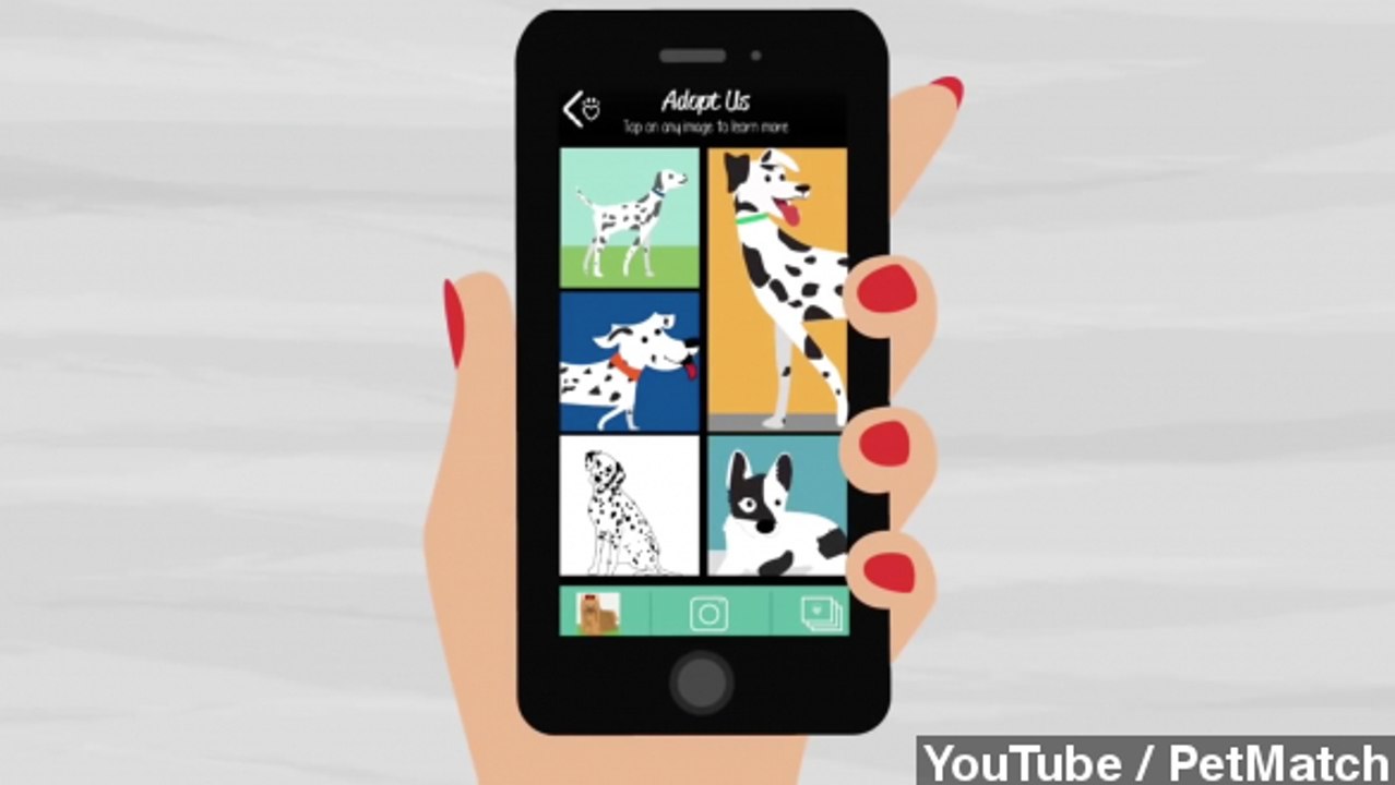 New App Uses Photo Recognition To Find Look-Alike Pets