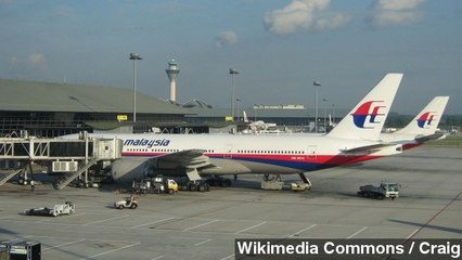 Malaysia Airlines Flight 370 Raw Satellite Data Made Public