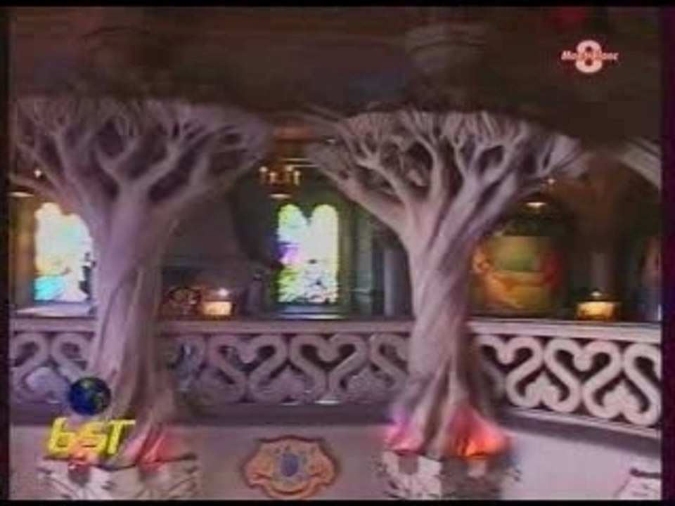 Reportage de TV8 sur Disneyland paris