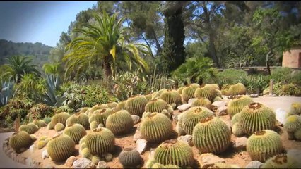 Espai Terra. Dilluns 26 de maig