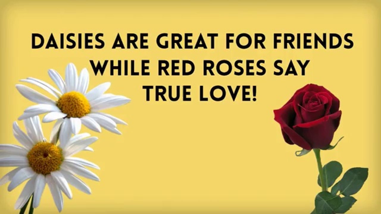 Buying flowers 101