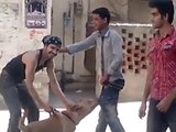 Funny Video Dog Catch a School Boy and shut of the Pent | School Boy Caught with Dog - See more at: http://funinworldful.blogspot.com/search?updated-max=2014-05-16T08:28:00+05:00&max-results=5#sthash.Xskk3nSE.dpuf