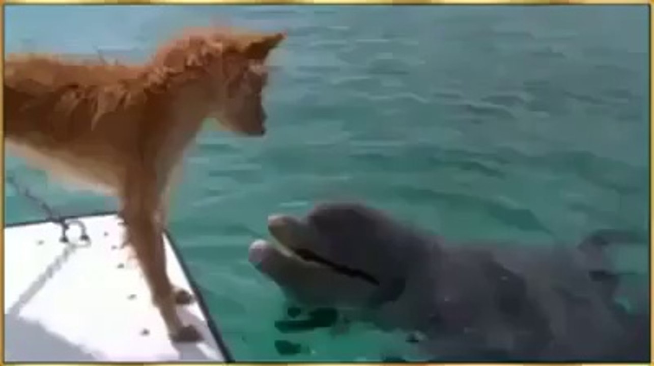 SUBHAN ALLAH