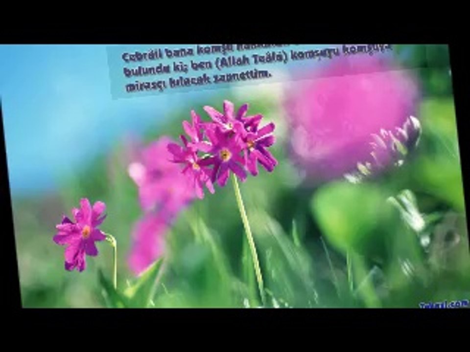 RECEP  AYİ  VE FAZİLETLERİ