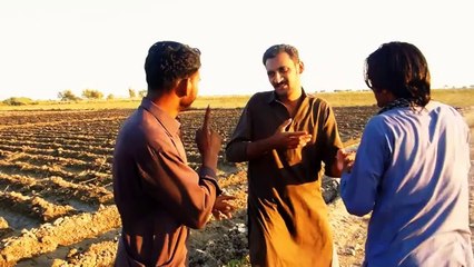 Loafer Boys (2014) | Part 1 | Sindhi Movie | Waseem Lander