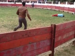 Vachette qui éclate un gars : coup de tête! KO direct...