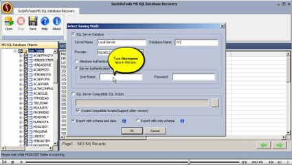 SysInfoTools MS SQL Database Recovery