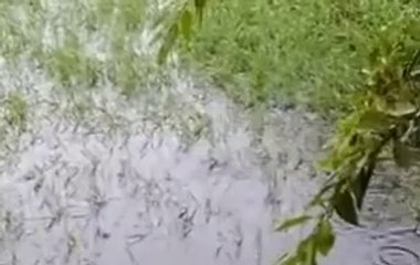 생방송바카라이기는법♒♓ KDMA77.COM ♓♒인기생방송바카라게임사이트