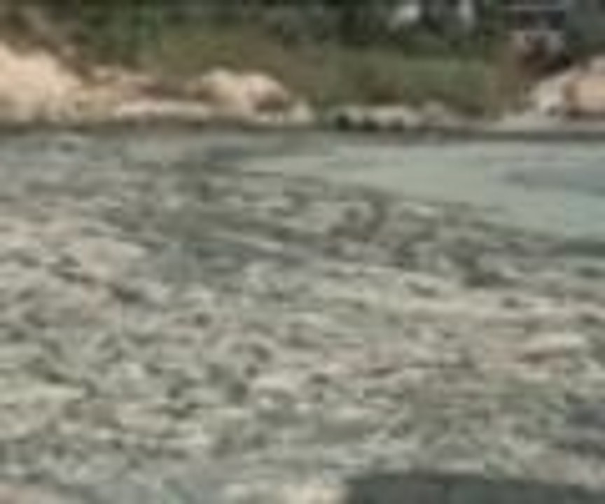 Bafa Gölü yeşil renge boyandı