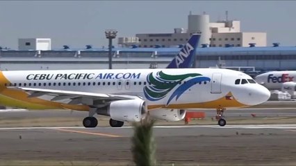 バギオPINES英語学校のマニラ空港ピックアップ場所！フィリピン留学オンラインドットコム
