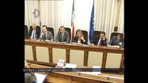 Roma - Audizione Organizzazione internazionale per le migrazioni (27.05.14)