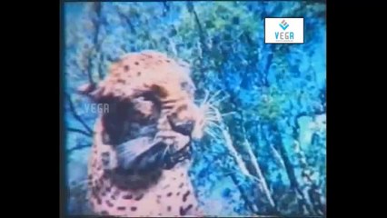 Annakilio Sonnna Kathai Movie Action Scene -2