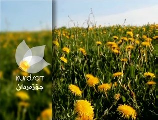 درامای سۆنگ یو ئەڵقەی 22