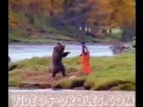 Videos-droles-animaux-ours